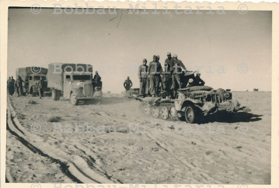 Afrika Korps Heeresflak Demag Halbkette SdKfz 104 mit 2cm FLAK Aufbau DAK (2)