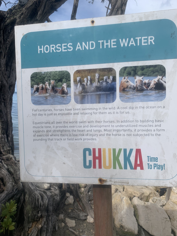 7F58B135-D2D4-4B80-9F69-8CF73CA42F9E