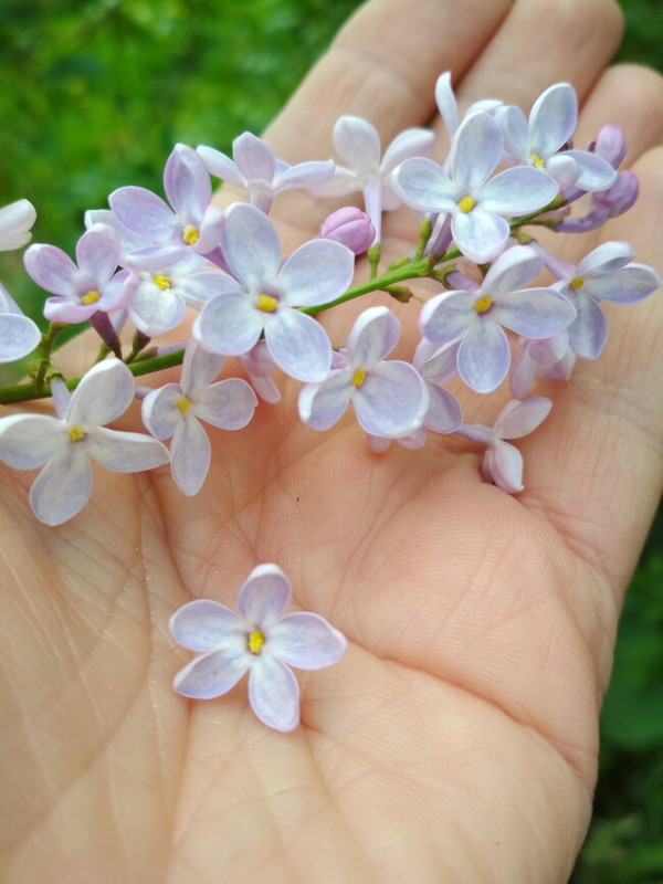 aHR0cHM6Ly9pYy53YW1waS5ydS8yMDIzLzA1LzEyLzNhNGI3OS5qcGc