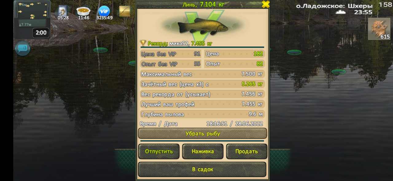 Охотник на ведьм - Линь зачёт