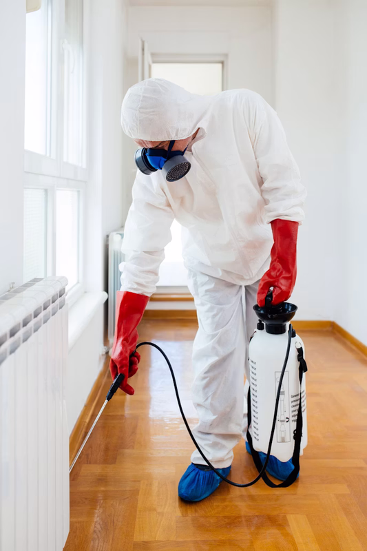 Certified mold remediation technician removing mold in a Green Bay WI home