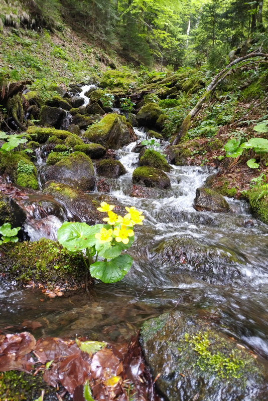 IMG-20230521-WA0002(1)