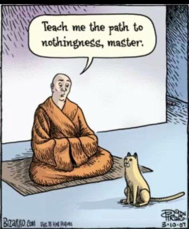 Cat Humor #7