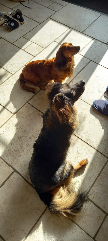 [Image: 20241129-125622.jpg]