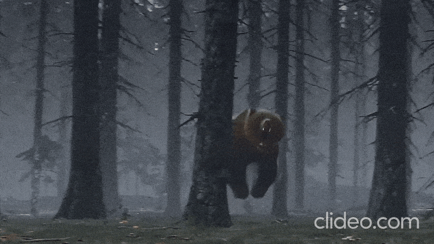 clideo-editor-efbe7a934e544658b6ac589ea2fffc8b.gif