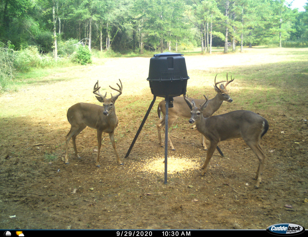 B2062BD0-33E8-4F97-8C44-25009601D113