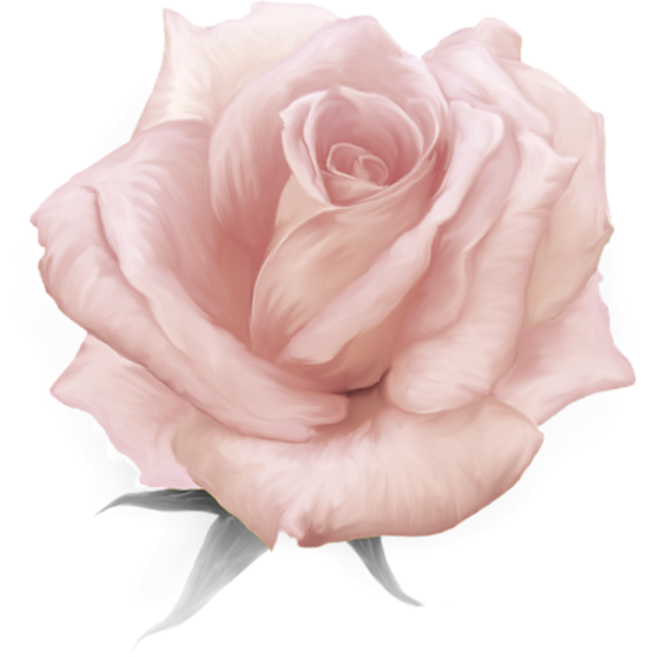 TADD_elements_PrincessParisian (118)