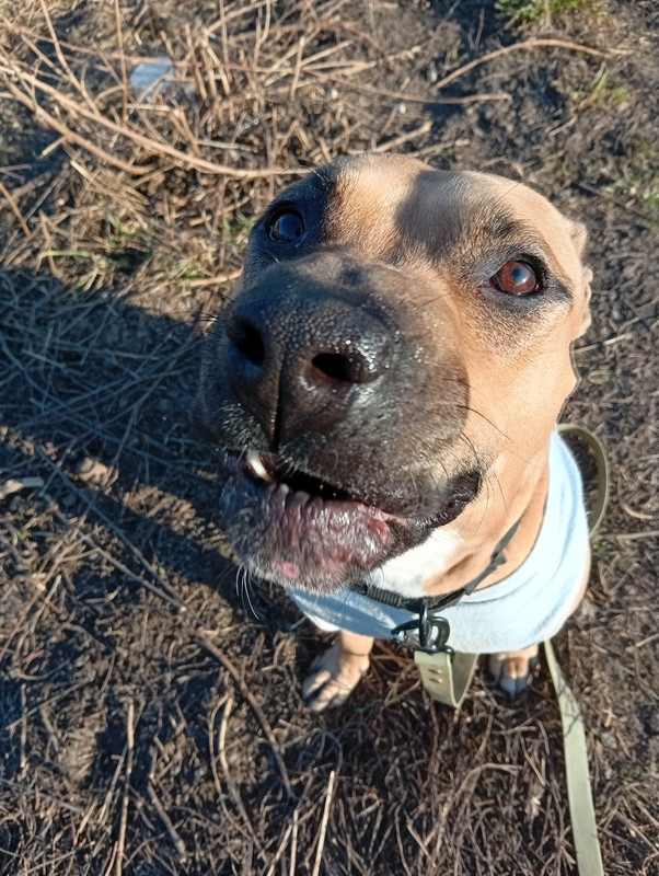 IMG 20260330 172425 шт