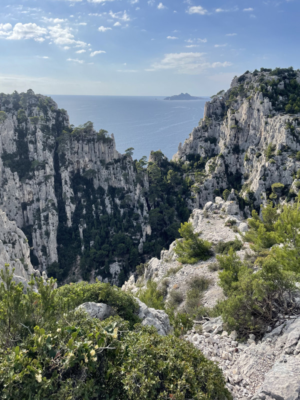 E7EC2BAA-F08D-4CCF-8597-1BF63CE5B282