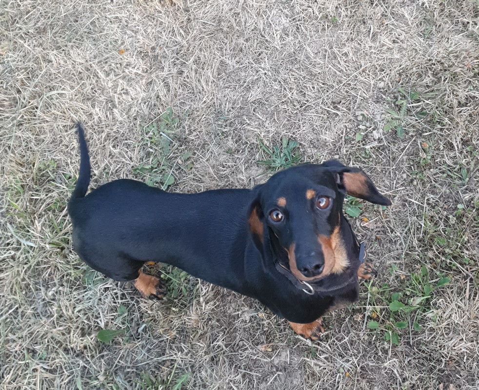 [Image: 20220714-225229.jpg]