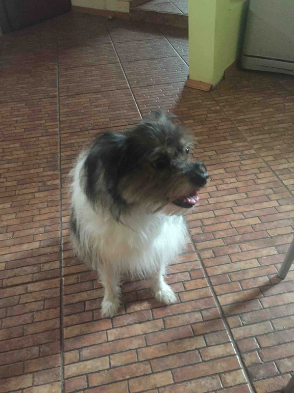 IMG-bf37ce5bd4257031c1c0ba27d9b2e855-V