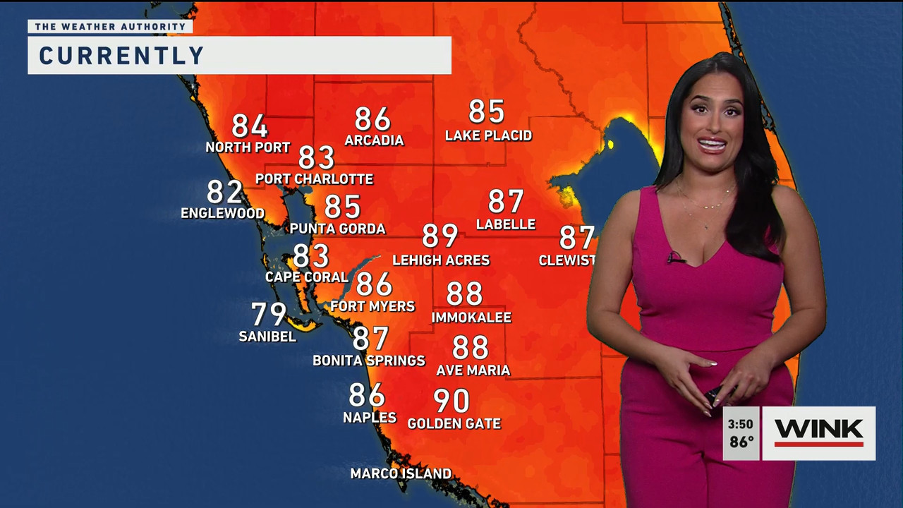 03.24 - 19.00.00 - WINK News at 3pm  ᴺᵉʷ..ts_snapshot_00.51.13.129