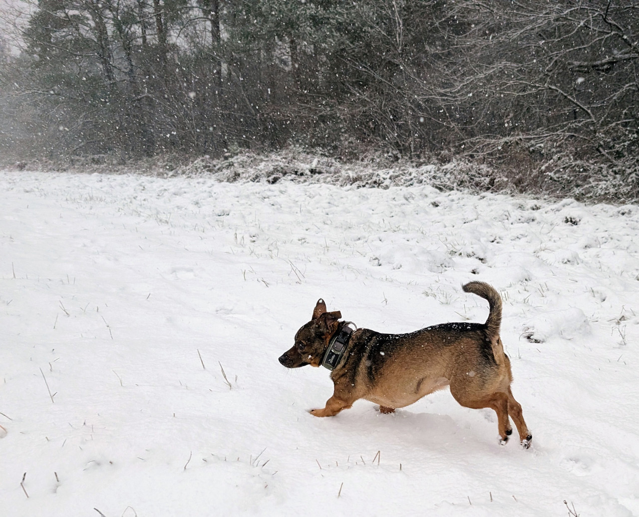 PXL 20260103 081716081 2