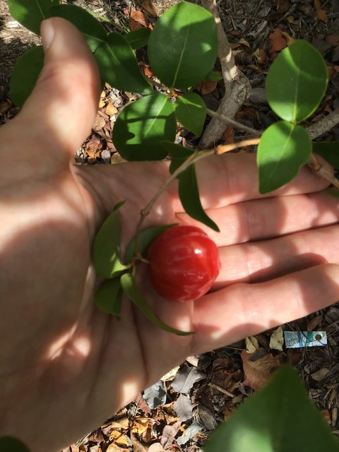 C4E91955-58F5-4369-917A-F19616CF70DD