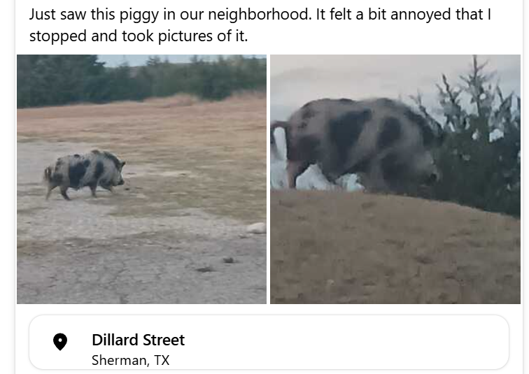 2024-12-17 06_44_26-(20) News Feed — Nextdoor