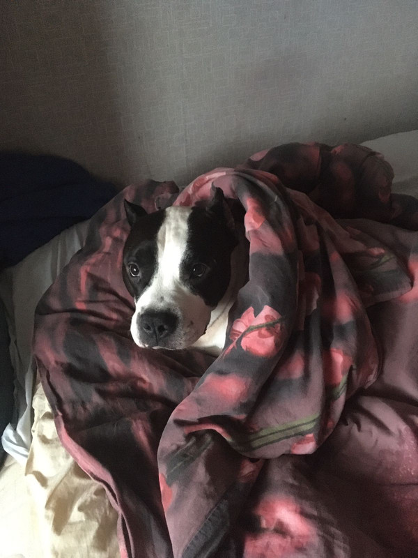 4DA5DEAA-CDCB-421C-B2B6-D3261E0DE9C5