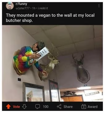 [Linked Image from i.postimg.cc]