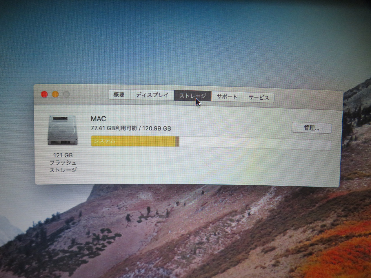 IMG-3991