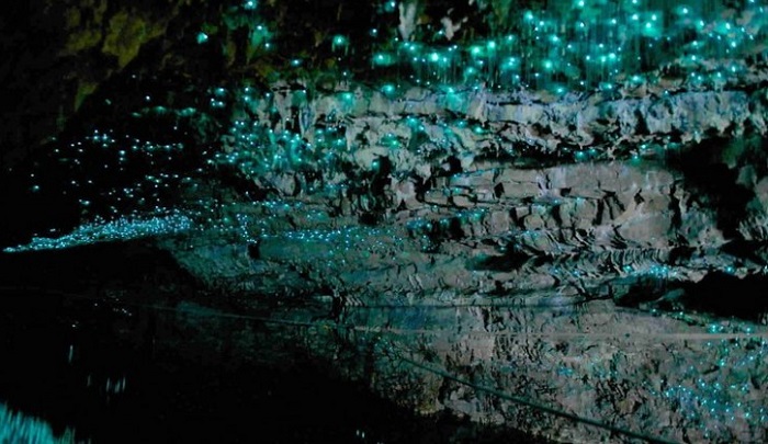 Gua Glowworm di Selandia Baru.