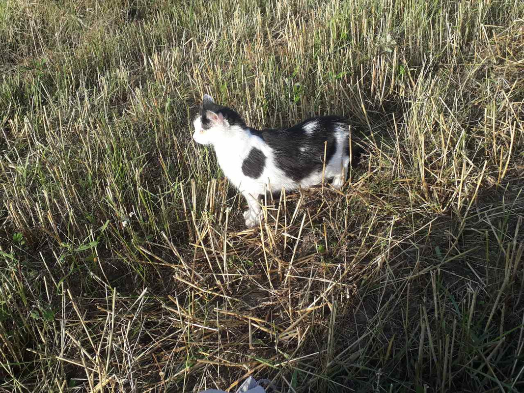 изображение_viber_2019-08-05_19-58-13