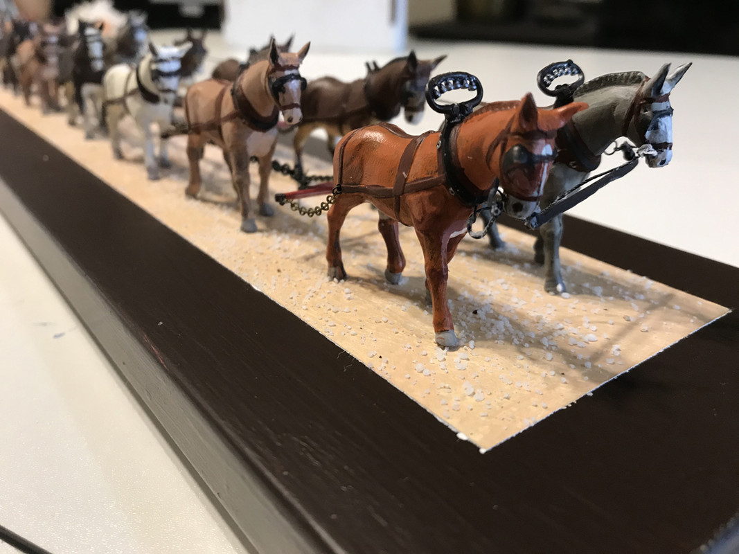 20 Mule Team Mules Closeup