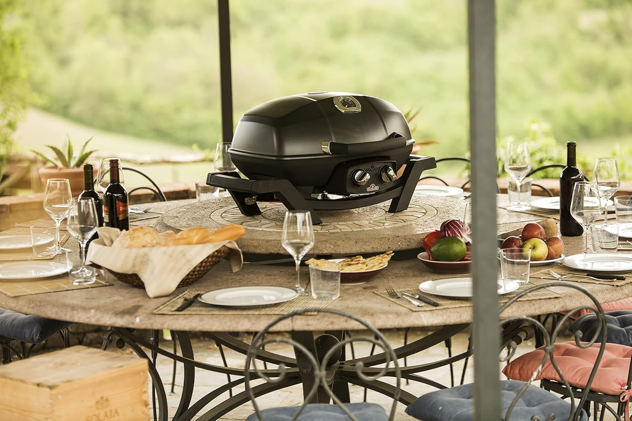 Asador a gas portátil Napoleon TravelQ PRO285 negro