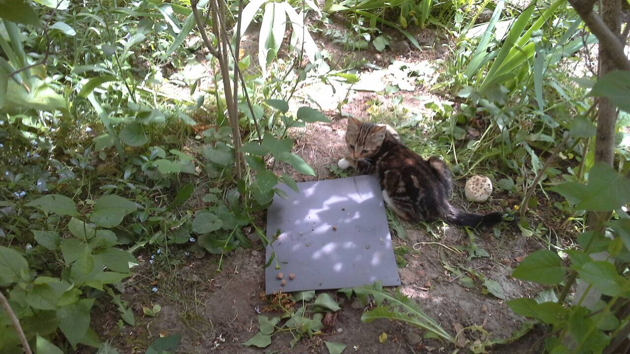 3AD0D4A0-C7BC-450D-9483-A1EB9A2945DC