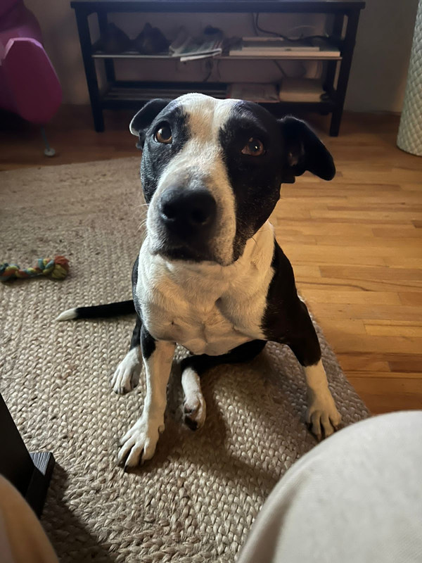 73924189-F6CE-4792-B4DC-8A36E1ED4C36