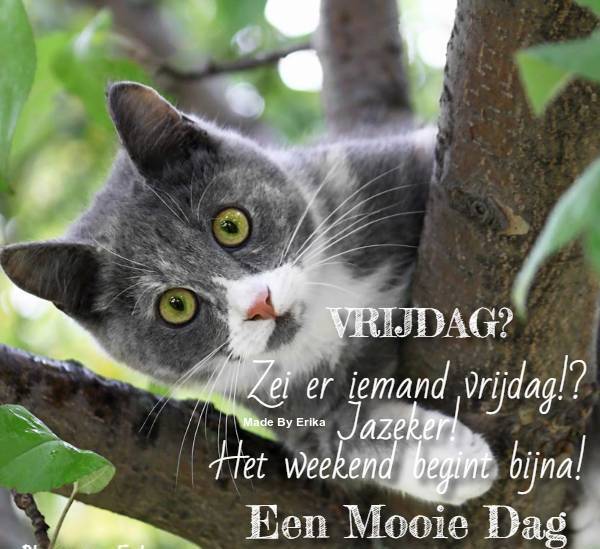 36F531BD-99EF-4E0D-B782-958C9CAEF206