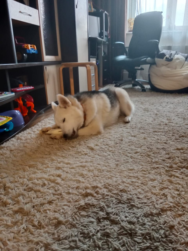 A28580F9-49CF-4039-B9CB-32748ECBCCF3