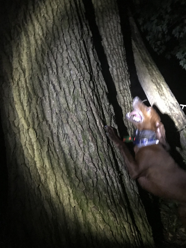 A95F8C03-E527-4BEA-961C-CDFEEA883613