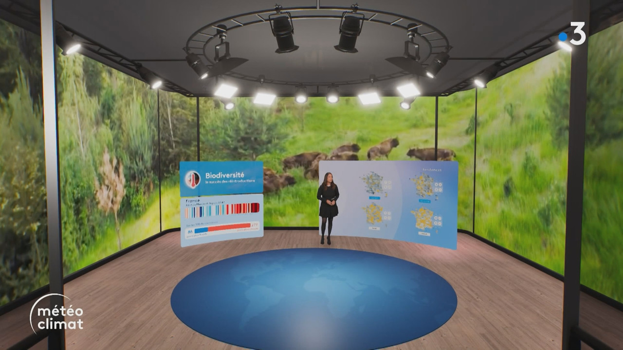 Journal Météo Climat - Journal Météo climat_France 3_2024_12_05_22_45.ts_snapshot_02.15.560