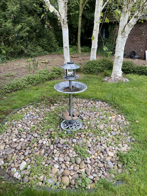 96C18684-2EBC-44CA-9093-FF77317E9019