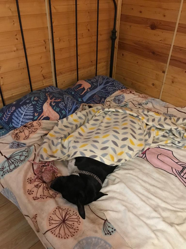 178D85D6-6EA7-49FF-9876-F6A1471F60CB