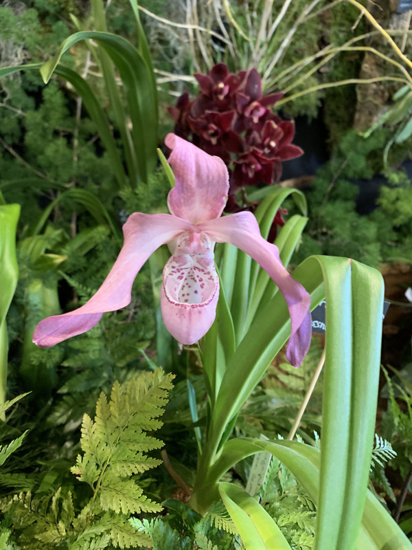 B9779A71-6E09-4313-B50B-002726B5CC47