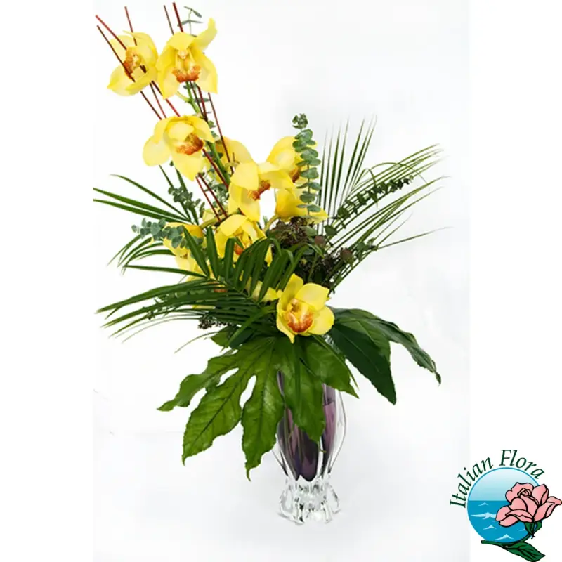 ramo-di-cymbidium-giallo_zoom