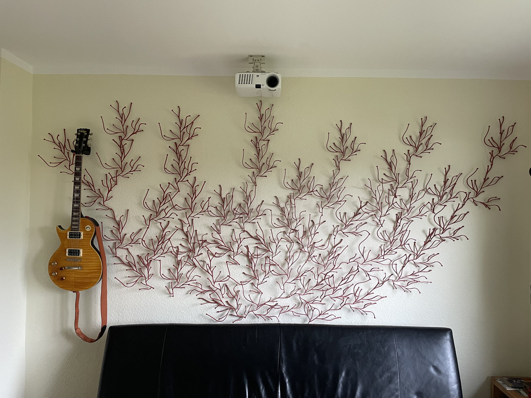 6BFCF147-B3E4-4C23-B854-FA160F580734