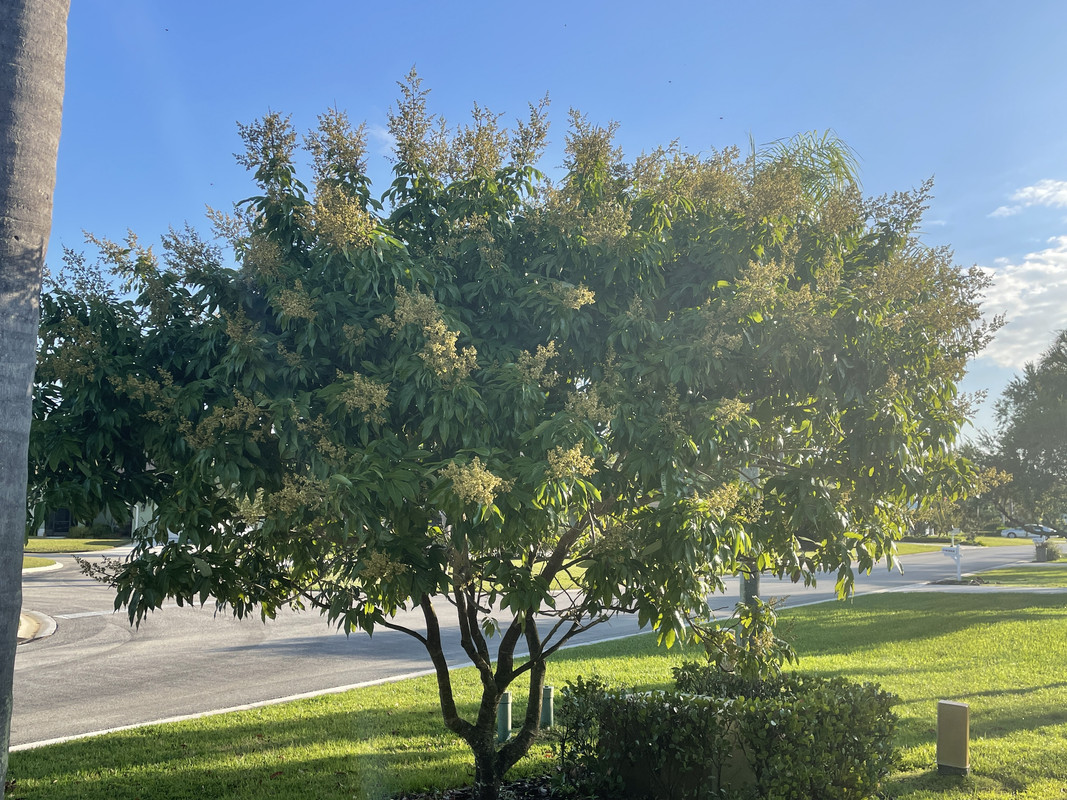 263F44D5-C5BE-464C-9352-81635155886D