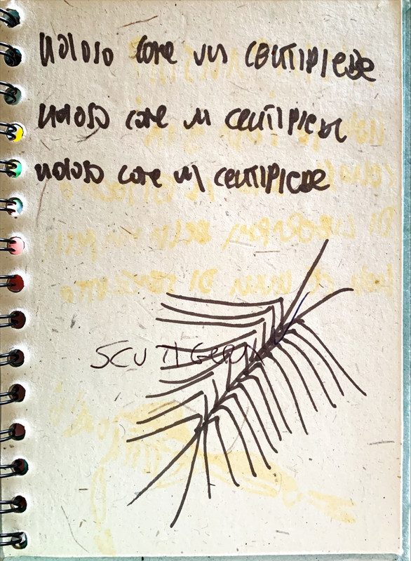 IMG-2306