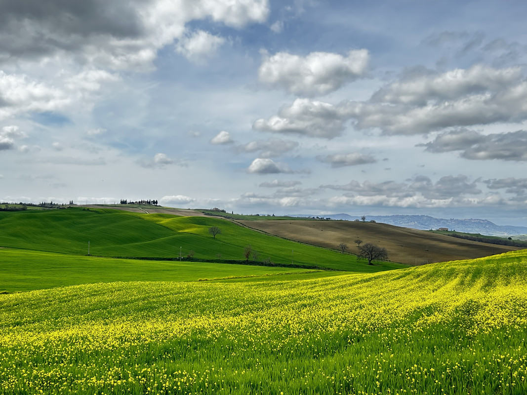 C6999369-FDBB-4C49-959E-F879C427A2F7