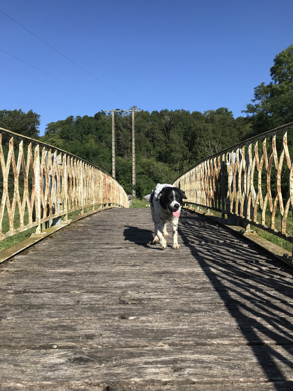 995EA7F2-255C-4A26-9C2C-80ABB33EED97