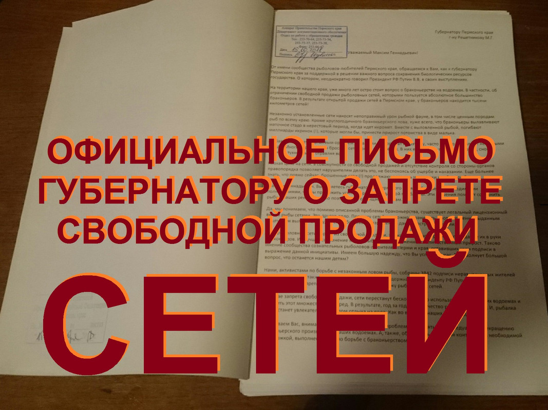 yLJPZVZhoq4 (1) - сети сеть