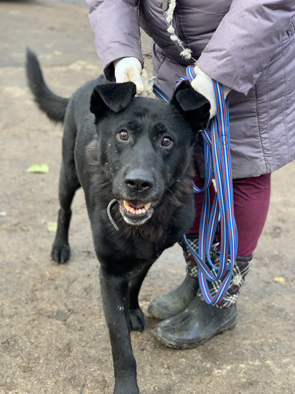 4FAC12BB-7F50-4575-995B-40CCC7CF352D