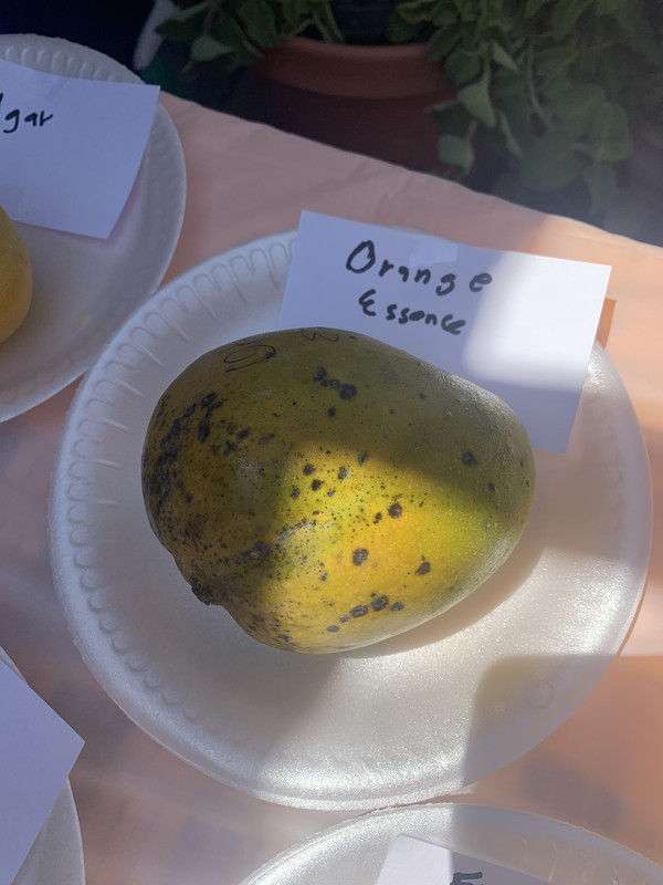 1E8C3C02-776C-47D5-B7E7-87F71965695B