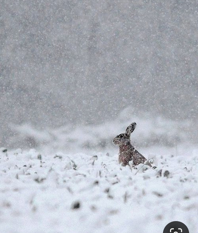 Screenshot_20231019_203333_Pinterest