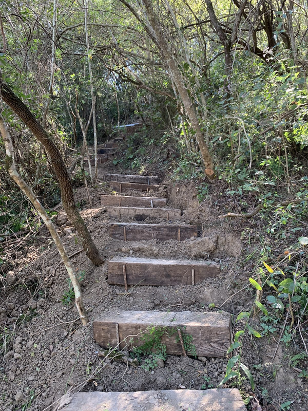 D2B997B7-4BC3-4581-8C27-C515549819EA