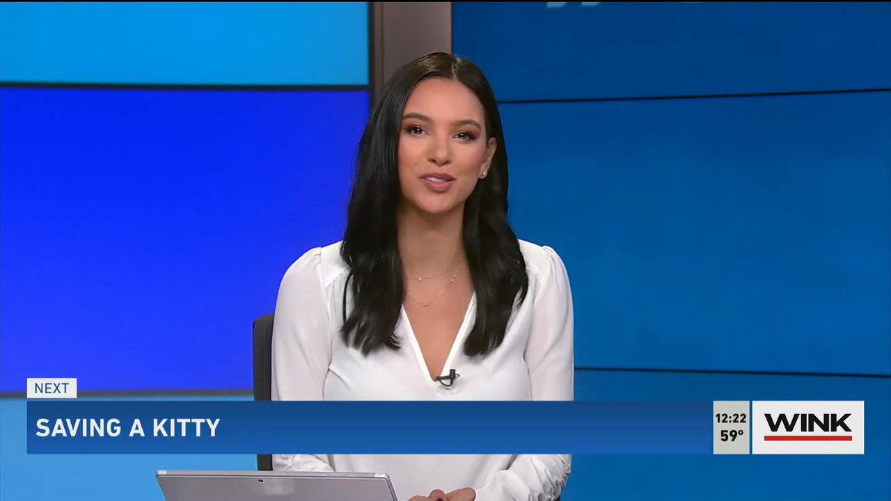 The WINK Noon News 2022_10_19_17_00_00.ts_snapshot_26.17.743