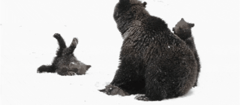 GIF-20260407-195759-834.gif