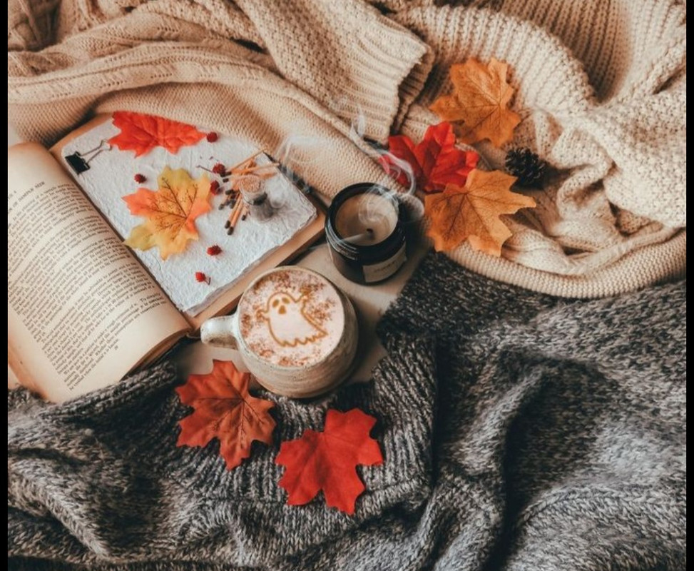 Screenshot_20251007_181701_Pinterest