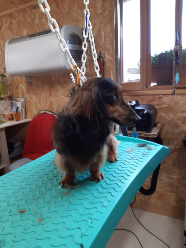 [Image: 20220330-100322.jpg]